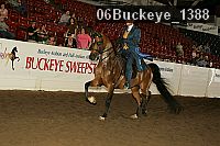 06buckeye_1388 proof