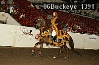 06buckeye_1391 proof