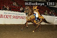 06buckeye_1393 proof