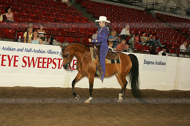 Proof 06buckeye_1397