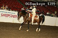 06buckeye_1399 proof
