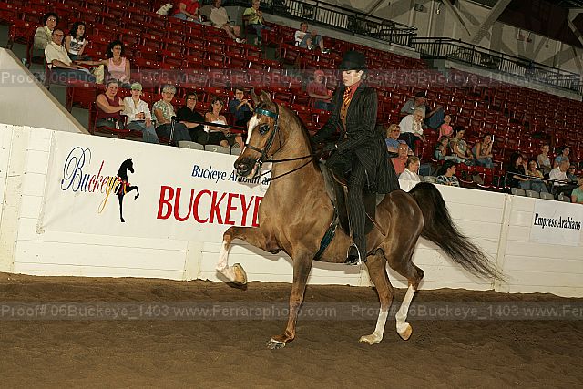 Proof 06buckeye_1403