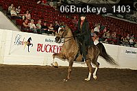 06buckeye_1403 proof