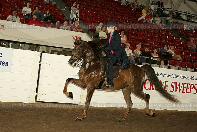 Proof 06buckeye_1404