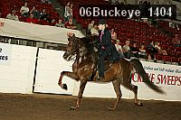 06buckeye_1404 proof