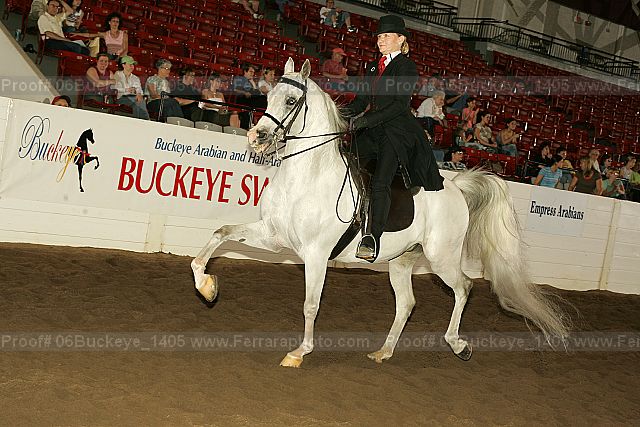 Proof 06buckeye_1405