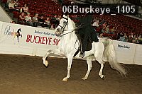 06buckeye_1405 proof
