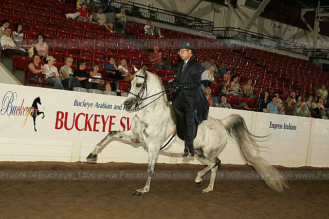 Proof 06buckeye_1406