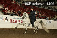 06buckeye_1406 proof