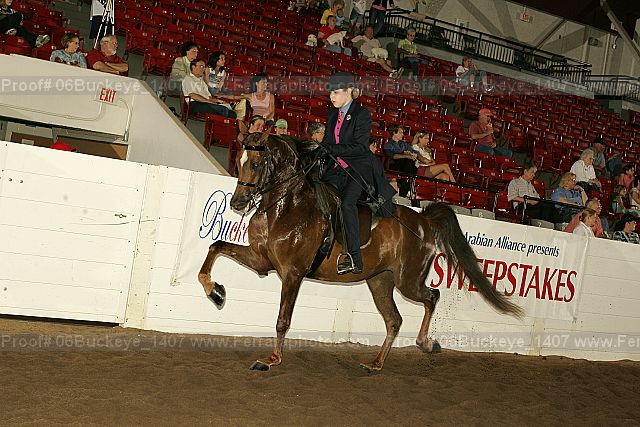 Proof 06buckeye_1407