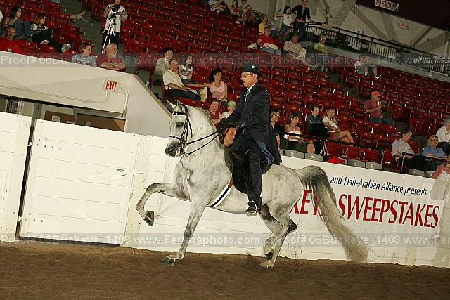 Proof 06buckeye_1408