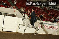 06buckeye_1408 proof