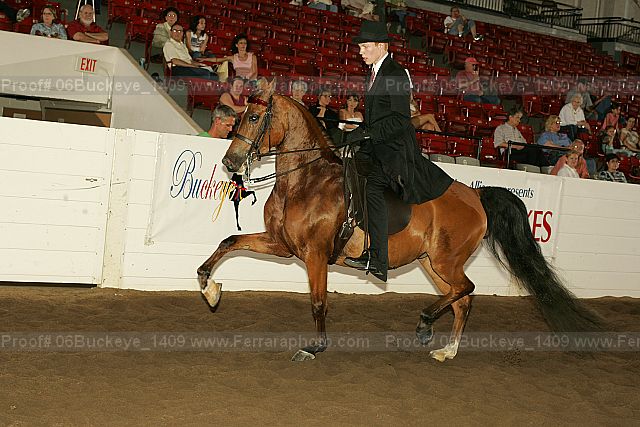 Proof 06buckeye_1409