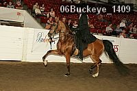 06buckeye_1409 proof