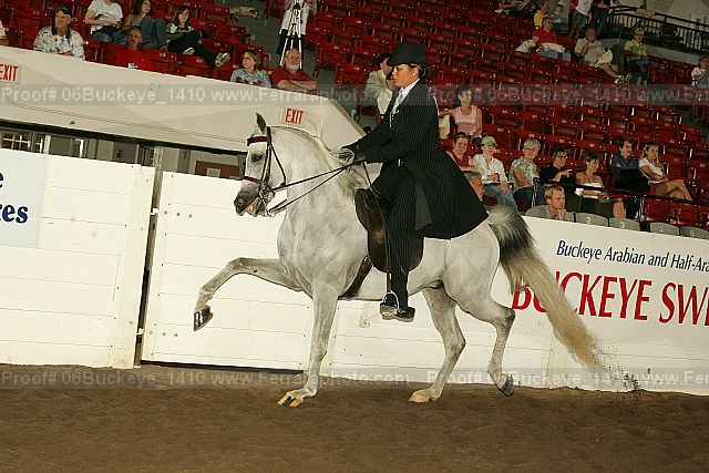 Proof 06buckeye_1410