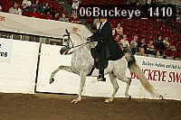 06buckeye_1410 proof