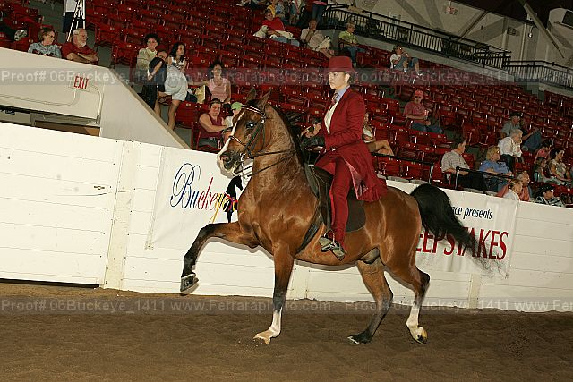 Proof 06buckeye_1411