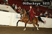 06buckeye_1411 proof