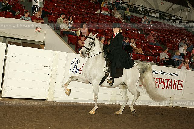 Proof 06buckeye_1412