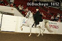 06buckeye_1412 proof