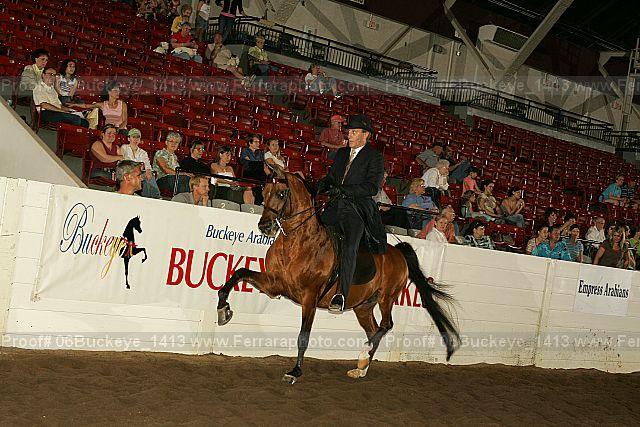 Proof 06buckeye_1413