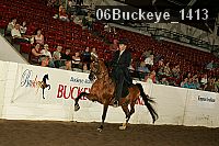 06buckeye_1413 proof