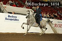 06buckeye_1414 proof