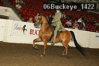 06buckeye_1422 proof