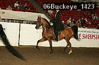 06buckeye_1423 proof