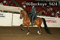 06buckeye_1424 proof