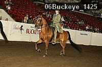 06buckeye_1425 proof