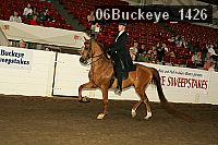 06buckeye_1426 proof