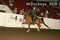 06buckeye_1428 proof