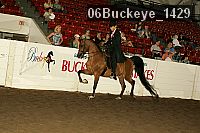 06buckeye_1429 proof
