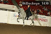 06buckeye_1430 proof