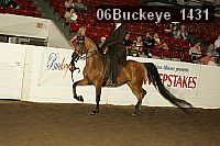 06buckeye_1431 proof