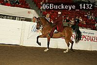 06buckeye_1432 proof