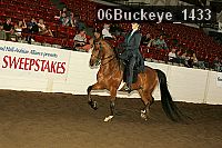 06buckeye_1433 proof