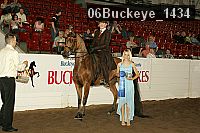 06buckeye_1434 proof