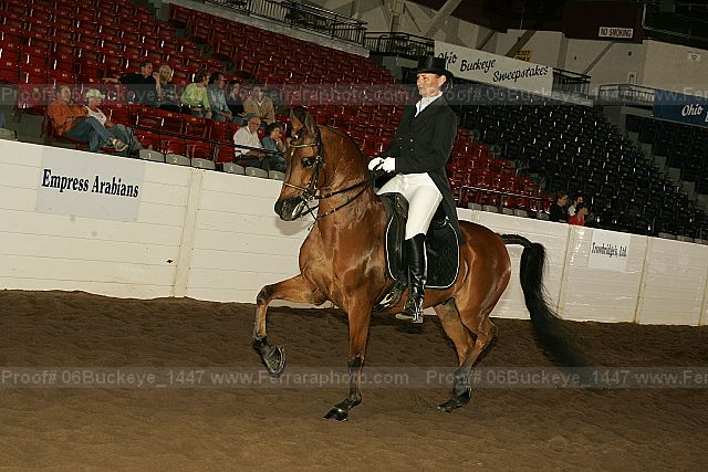 Proof 06buckeye_1447