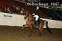 06buckeye_1447 proof