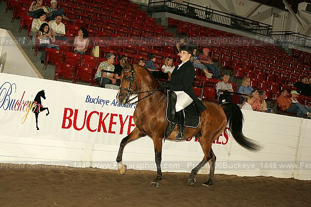 Proof 06buckeye_1448