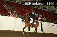 06buckeye_1450 proof