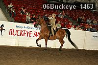 06buckeye_1463 proof