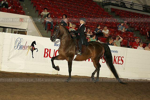 Proof 06buckeye_1464