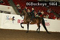 06buckeye_1464 proof
