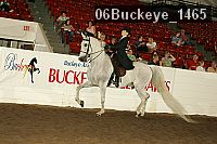 06buckeye_1465 proof