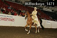 06buckeye_1471 proof