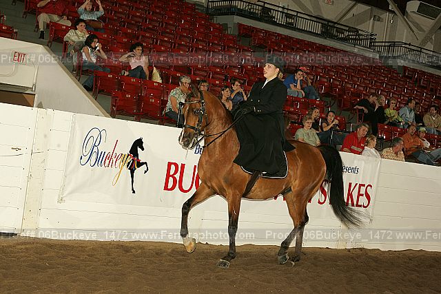 Proof 06buckeye_1472