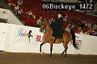 06buckeye_1472 proof